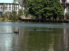 -茵特拉根酒店·西餐厅