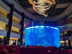 -OPEN開全日自助餐厅·牛肉火锅·海鲜(佛山希尔顿酒店)