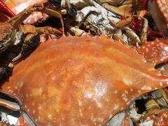 -海天盛宴潮汕蒸汽海鲜高端自助形象店