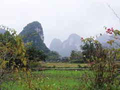 -靖西鹅泉风景区
