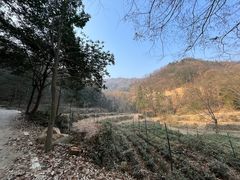 -素山寺森林公园