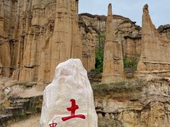 -元谋土林景区(物茂土林)