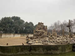 -合肥野生动物园