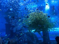 -波塞冬旅游度假区