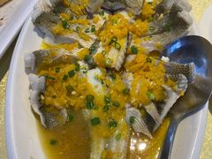 -新高记·粤菜·湛江鸡(南头古城店)