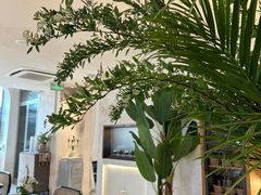 -HUATA 'Holiday Plan 花榻