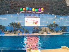 -泉城欧乐堡海洋极地世界