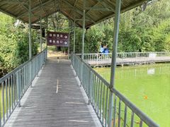 -泰安地下龙宫景区