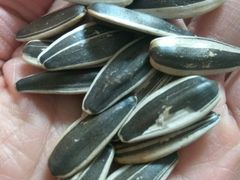 -树上坚果(瑞城店)