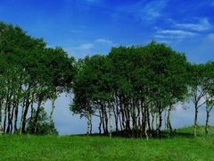 -塞罕坝国家级自然保护区