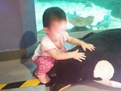 -石家庄海洋公园