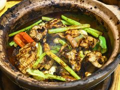 生啫金边花鳝-天宝食坊·啫啫煲大排档(西华路店)