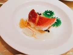 东星斑清蒸-8餐厅(新葡京酒店)