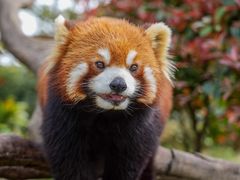 -常州淹城野生动物世界