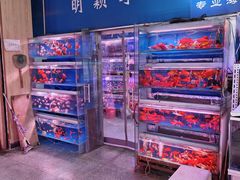 -宝鸡东道花鸟鱼虫市场(吉利花园商场店)