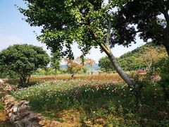-龙寺生态园