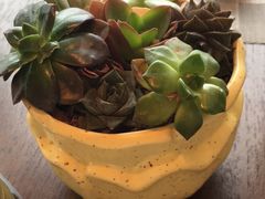 -舟山希尔顿酒店