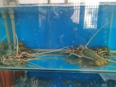 -芽庄老成都川菜馆