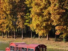 -溱湖国家湿地公园