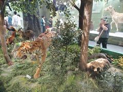 -国家自然博物馆