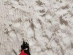 -长沙湘江冰雪世界