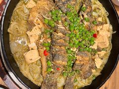 -老板恋上鱼(高新万达店)