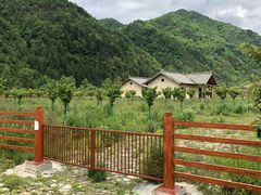 -黑河国家森林公园