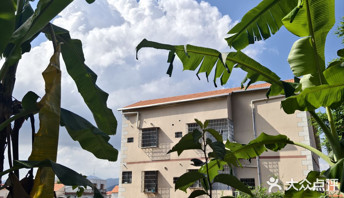 夏天冰饮大推荐