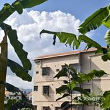 夏天冰饮大推荐