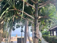 -石梅湾艾美度假酒店