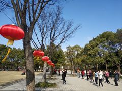 -新江湾城公园
