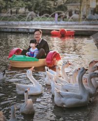 -上美四季动物农场