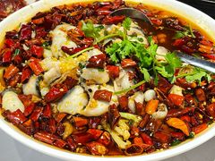 肥肠鱼-洪福龙虾