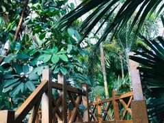 -石家庄市植物园