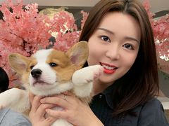 -浣熊柯尔鸭土拨鼠·电玩咖