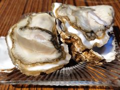 蚝王刺身-蚝堡海鲜·威海菜·海肠捞饭·烧烤·亚洲吃蚝公司(幸福门店)