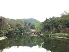 -云溪植物园