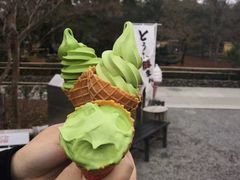 抹茶冰淇淋-豆政(金閣寺境内売店)