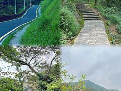 -黄埔油麻山森林公园