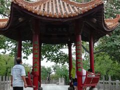 景点-紫荆山公园