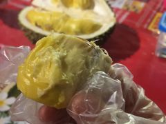 -都念榴莲·城市榴莲
