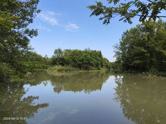 -桤木河湿地公园