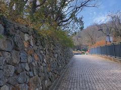 -青龙山公园