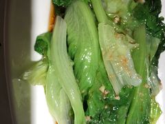 -佬肥猫(国华广场店)