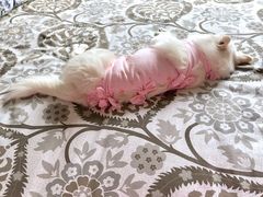 -美迦爱-牙专科·兔科·骨科诊疗中心(北苑店)