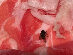 -小龙坎老火锅(金柏林店)