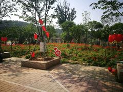 -绵阳盛世樱花悠乐谷