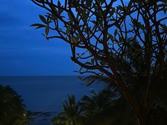 -日落吧·海景咖啡厅·餐酒吧·鸡尾酒·下午茶·乐队表演·浪漫夕阳·三亚文华东方酒店