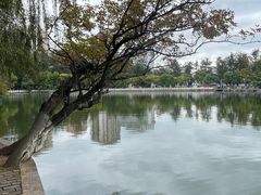 -翠湖公园