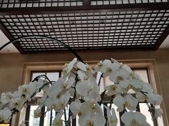 -昆明洲际酒店